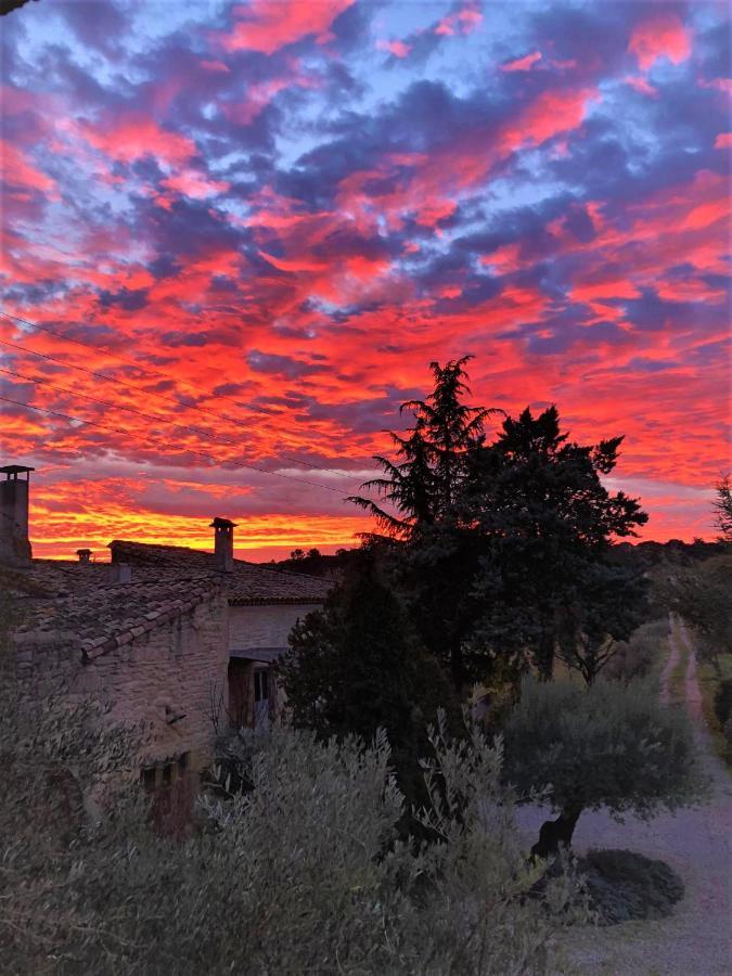 Mas De La Rivoire B&B Villevieille Buitenkant foto