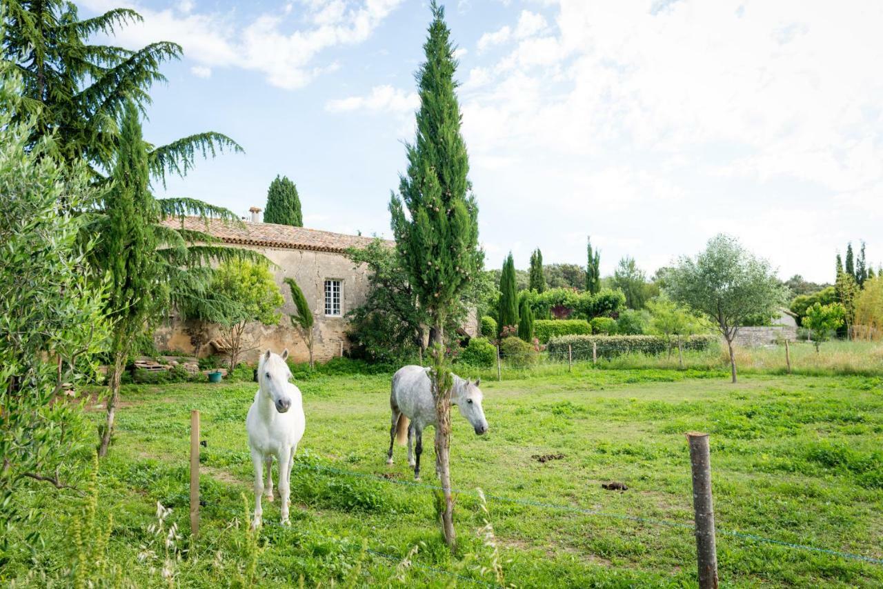 Mas De La Rivoire B&B Villevieille Buitenkant foto